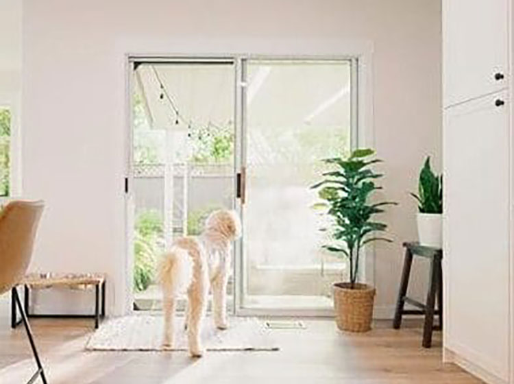 A dog standing in front of a sliding glass door with mesh lock screen system, showing secure pet-resistant screening while maintaining outdoor views