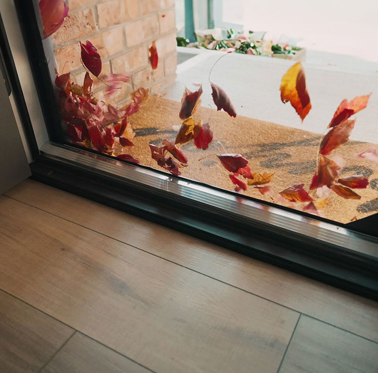 Autumn leaves scattered outside sliding door with retractable screen installed