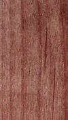 Alder wood veneer