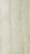 Pine wood veneer