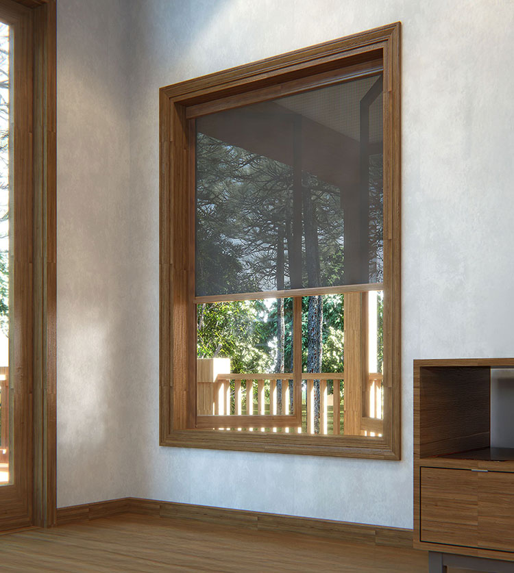 Sunlit room with wood-framed windows featuring retractable screens, showcasing natural forest views through clear and screened window panels